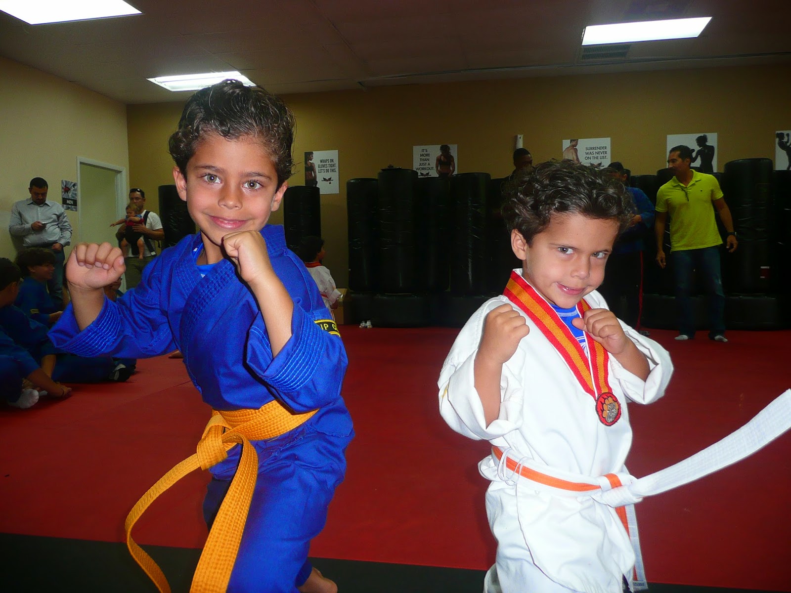 Medicine Mom: Martial Arts – Teaching Children “Focus, Discipline, Agility, & Respect!”