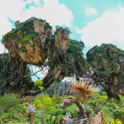 Visit Pandora: The Valley of Mo’ara