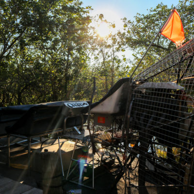 The Everglades: Coopertown Airboat Ride